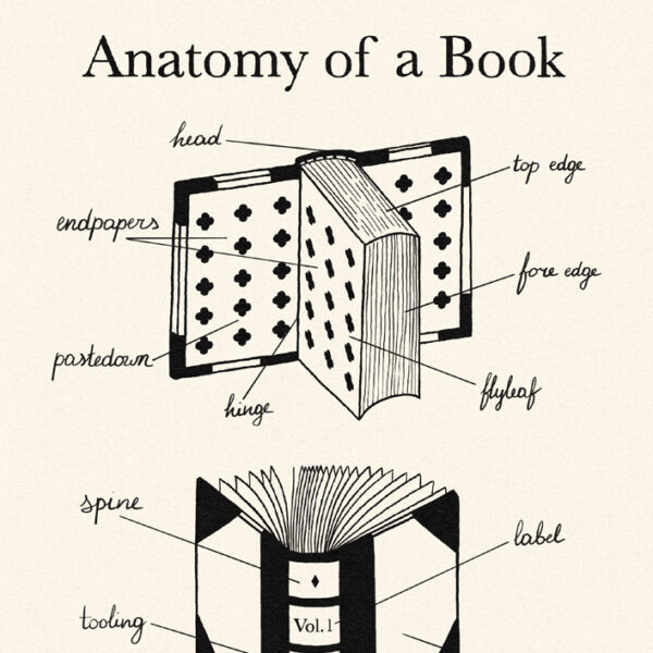 Anatomy of a Book