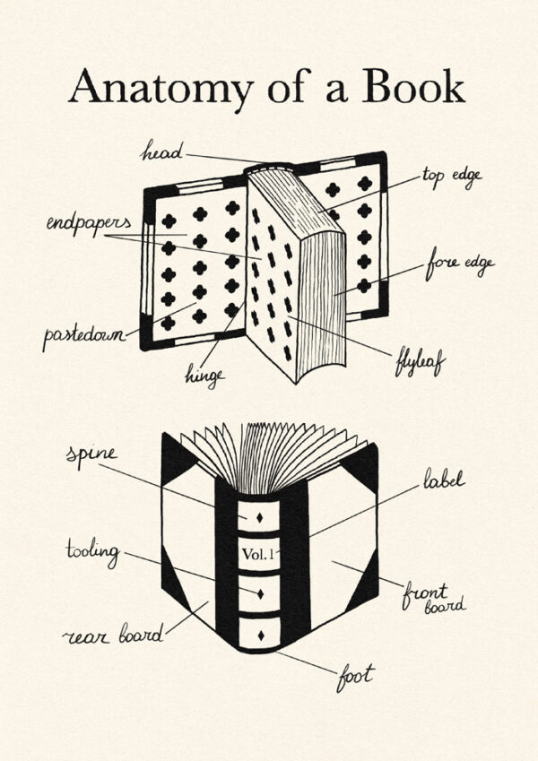 Anatomy of a Book