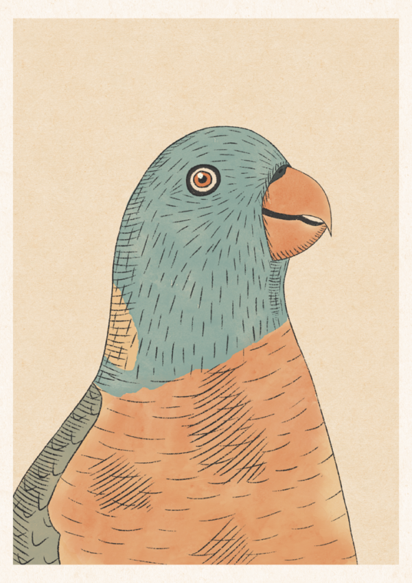 Parrot