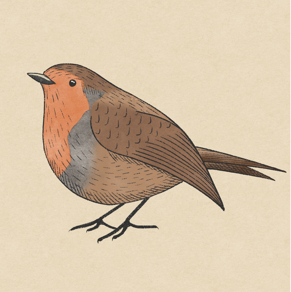Robin