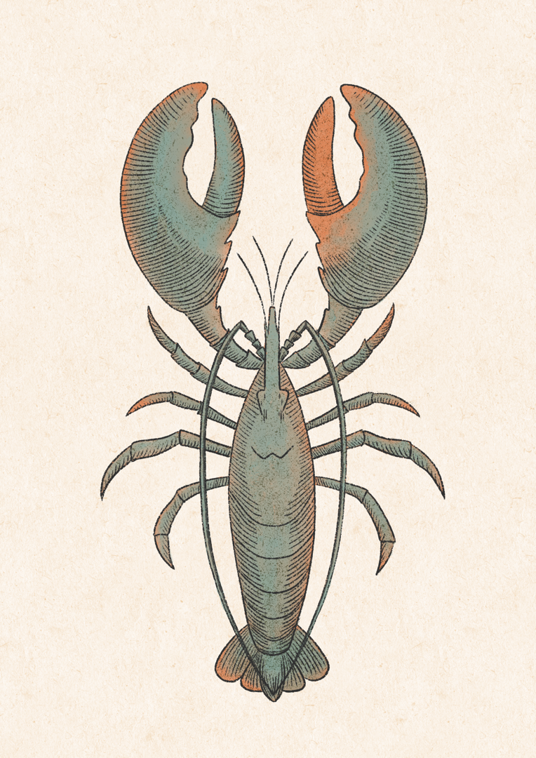 Lobster